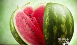 澄海网红吃瓜群微信,揭秘网络红人背后的故事与八卦