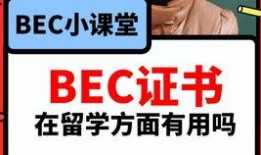 今日吃瓜独家爆料视频,今日吃瓜爆料视频背后的惊人真相